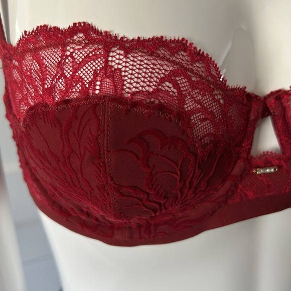 Triumph Velvet & Lace Bra - Picture 4 of 10
